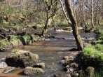 River banks River banks